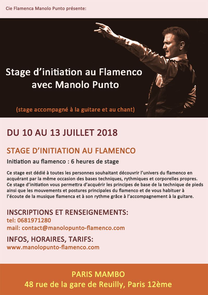 Stages de flamenco avec Manolo Punto du 10 au 18 juillet 2018 à Paris 12ème